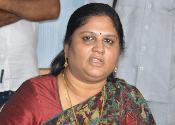 kothapalli geetha,lands,rajnath singh,ysrcp,tdp,bjp  కొత్తపల్లి గీత మళ్ళీ రాజ్ నాథ్ ను కలిసింది! 